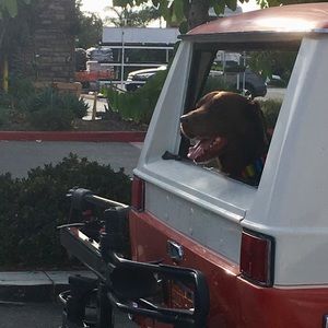 Meet your Posher, David